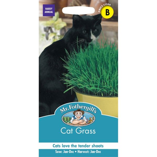 Cat Grass Avena Sativa Seeds